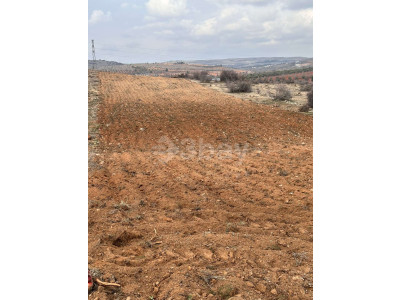 3 bay gayrimenkul dan 2800 metre bag evlik arazi